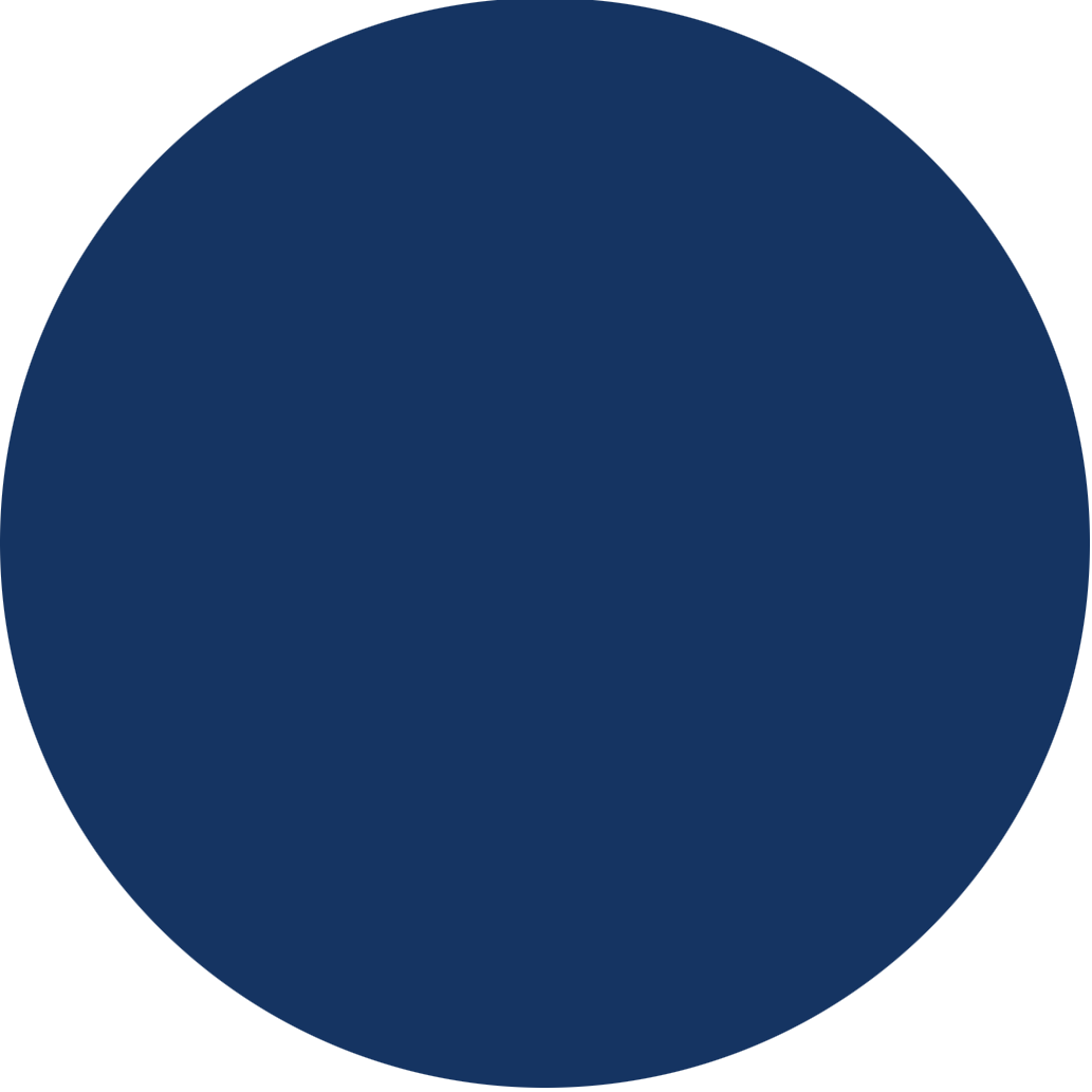 A blue circle is shown in this image.